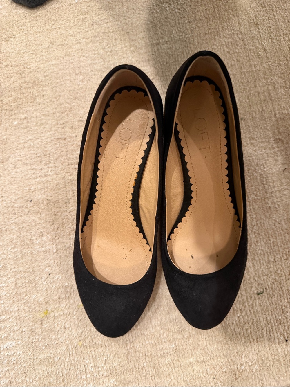 LOFT Black Suede Pointed-Toe shoes